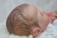 3D Reborn Hair Painting Kit – Brown Hair